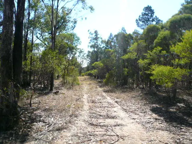 Main view of Homely rural property listing, LOT 3 WIEAMBILLA ROAD, Tara QLD 4421