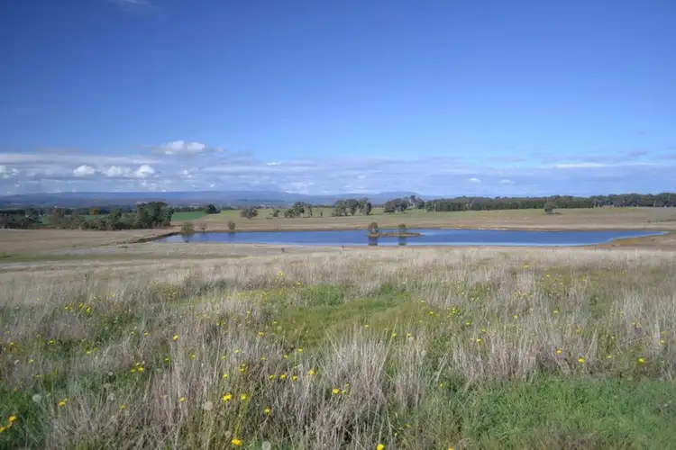 Sixth view of Homely rural property listing, 99 Coppabella Road, Rosewood NSW 2652