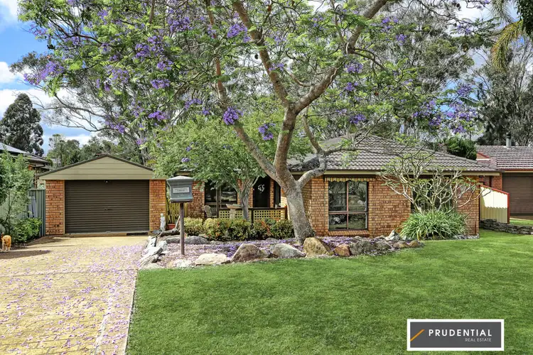 17 Romilly Place, Ambarvale NSW 2560