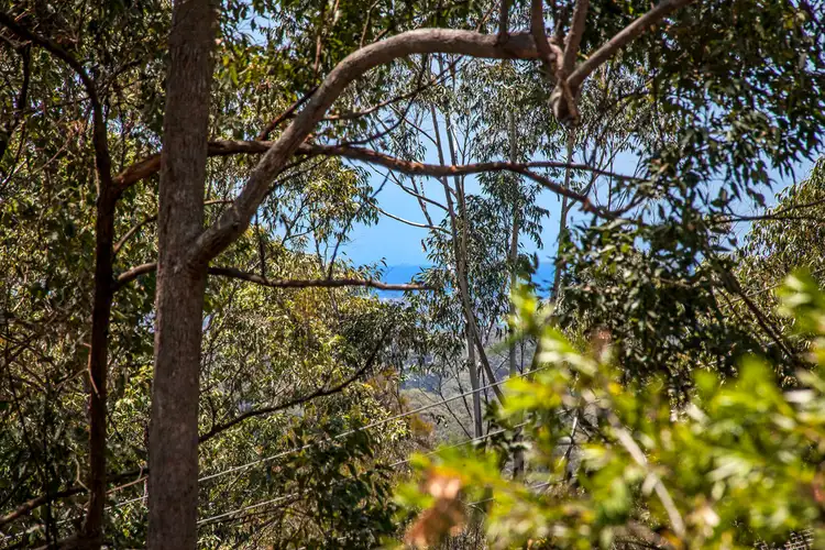 Third view of Homely house listing, 323 Kiel Mountain Road, Kiels Mountain QLD 4559