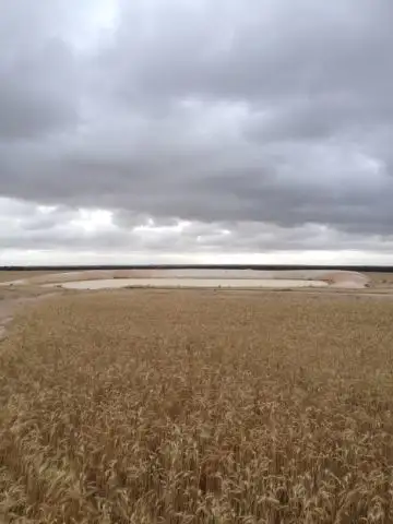Seventh view of Homely rural property listing, 'Stirling View' Rabbit Proof Fence Road, Ongerup WA 6336