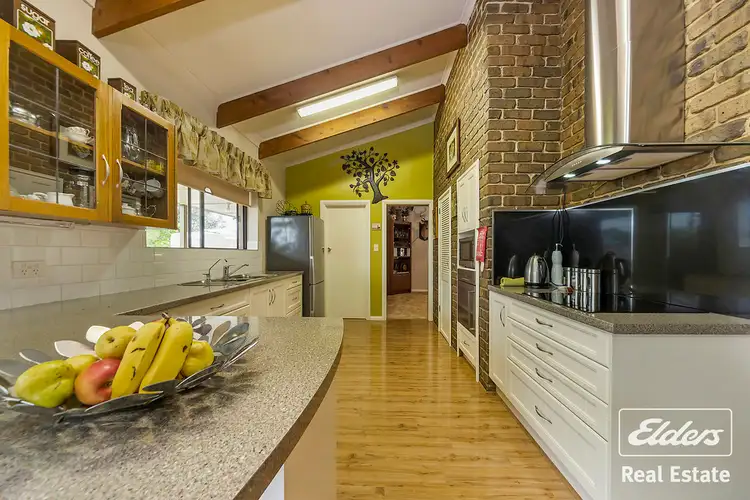 Sixth view of Homely house listing, 25 Ronda Avenue, Roseworthy SA 5371