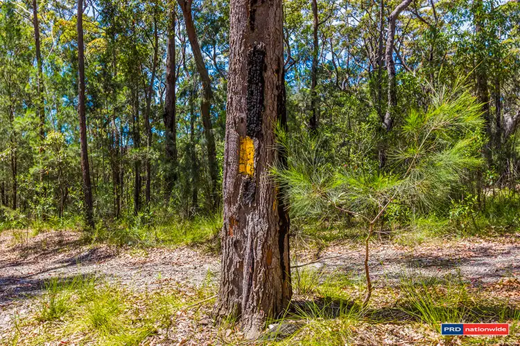 Fourth view of Homely rural property listing, Lot 100 Sea Acres Drive, Maloneys Beach NSW 2536