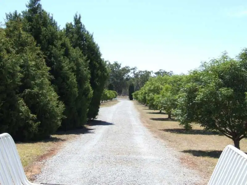 Main view of Homely rural property listing, 13886 New England Highway, Tamworth NSW 2340