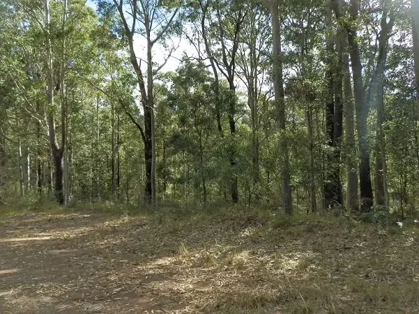 Third view of Homely land listing, Lot 43 Pineforest Road, Tomerong NSW 2540