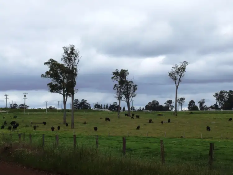 Fifth view of Homely rural property listing, 384 West Boundary Road, Manjimup WA 6258