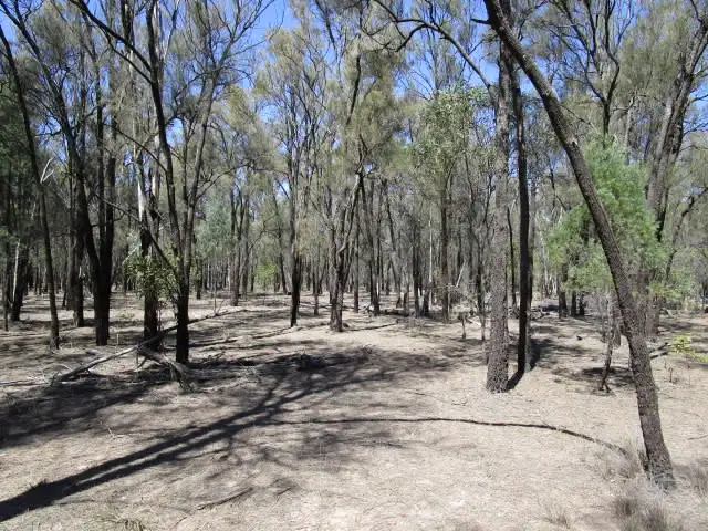 Fifth view of Homely rural property listing, LOT 19 BILLABONG LANE, Tara QLD 4421