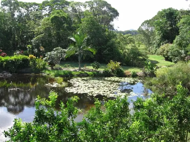 Sixth view of Homely house listing, 25 Rainforest Drive, Julatten QLD 4871