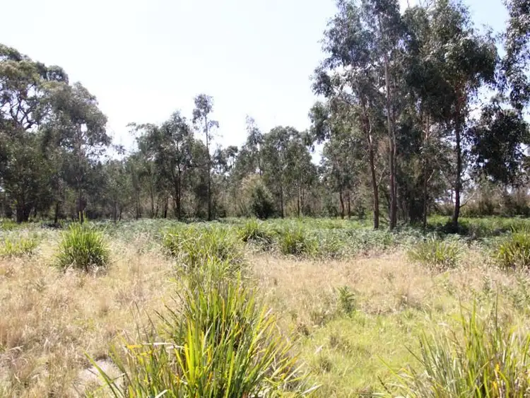 Fifth view of Homely rural property listing, Lot 12 Cochranes Road, Seaspray VIC 3851