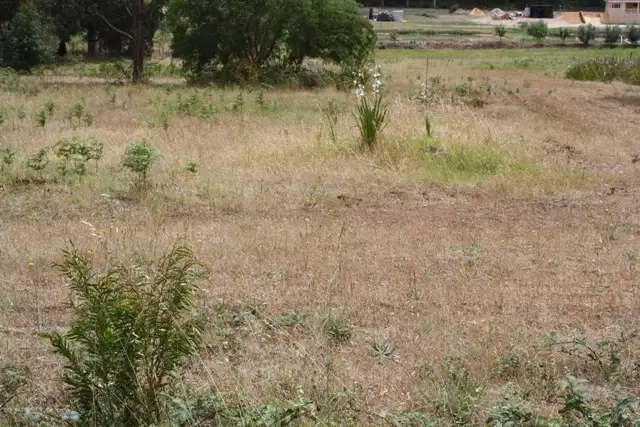 Seventh view of Homely land listing, 57 Somerville Street, Manjimup WA 6258