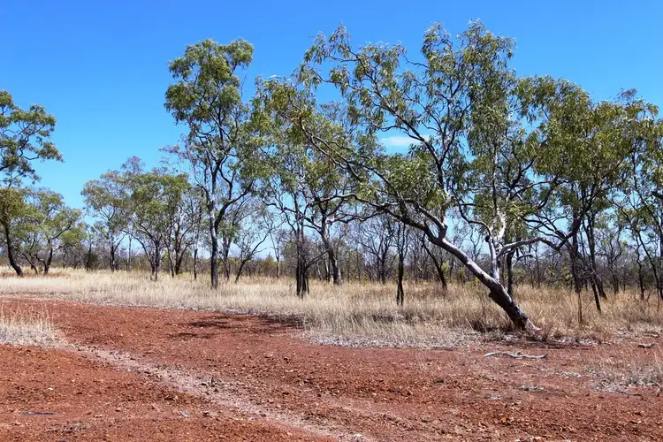 Fourth view of Homely rural property listing, 1335 GORGE ROAD, Katherine NT 850