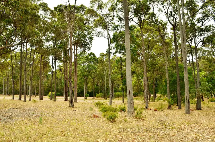 Third view of Homely land listing, 6 Hogan Place, Witchcliffe WA 6286