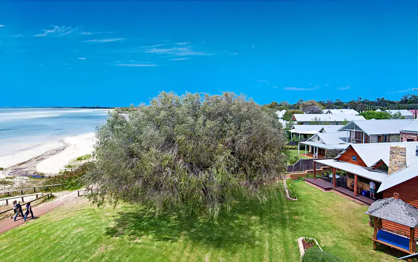 Main view of Homely house listing, 9/3 Lecaille Court, Dunsborough WA 6281