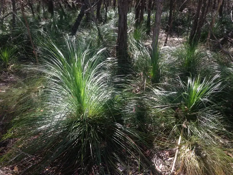 Fifth view of Homely land listing, Lot 382 Whyte Cres, Agnes Water QLD 4677