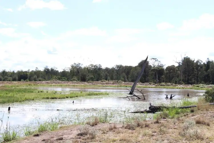 Second view of Homely rural property listing, 0 Boondandilla  Rd, Goondiwindi QLD 4390