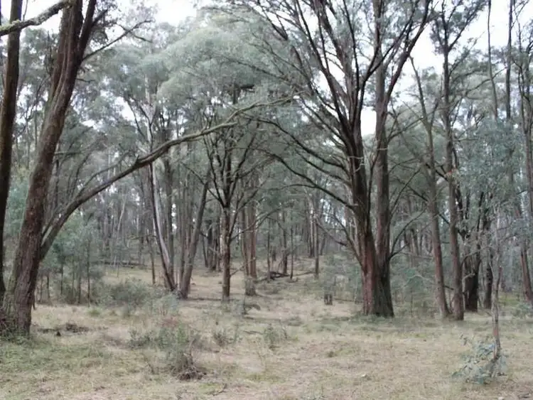 Lot 4 Moody's Hill Road, Tumbarumba NSW 2653