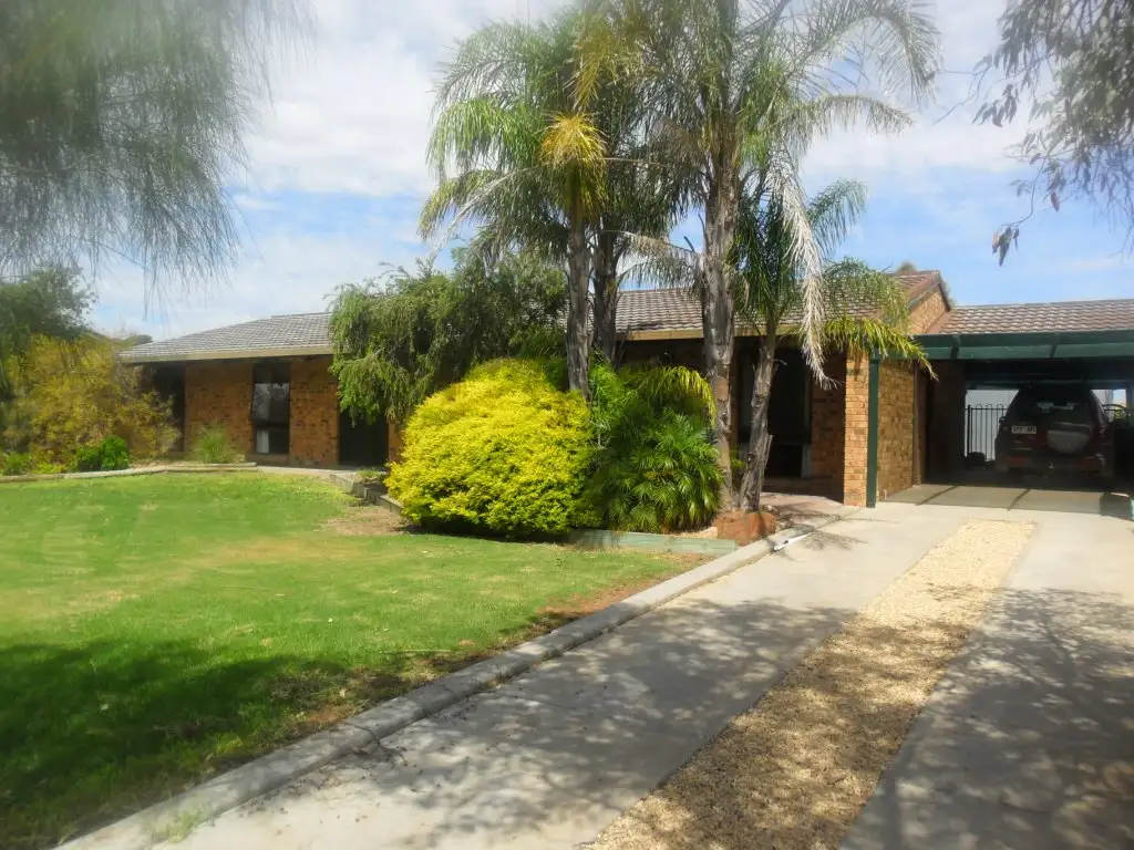 Main view of Homely house listing, 37 and 39 Murrayville Rd, Pinnaroo SA 5304