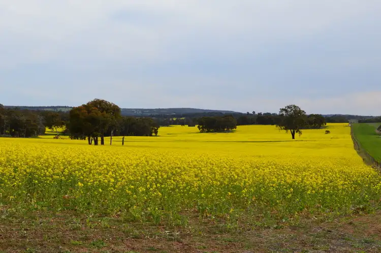 Main view of Homely rural property listing, L101 BOYUP BROOK-ARTHUR ROAD, Trigwell WA 6244