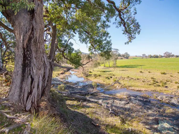 Main view of Homely rural property listing, 158 Bara - Lue Road, Mudgee NSW 2850