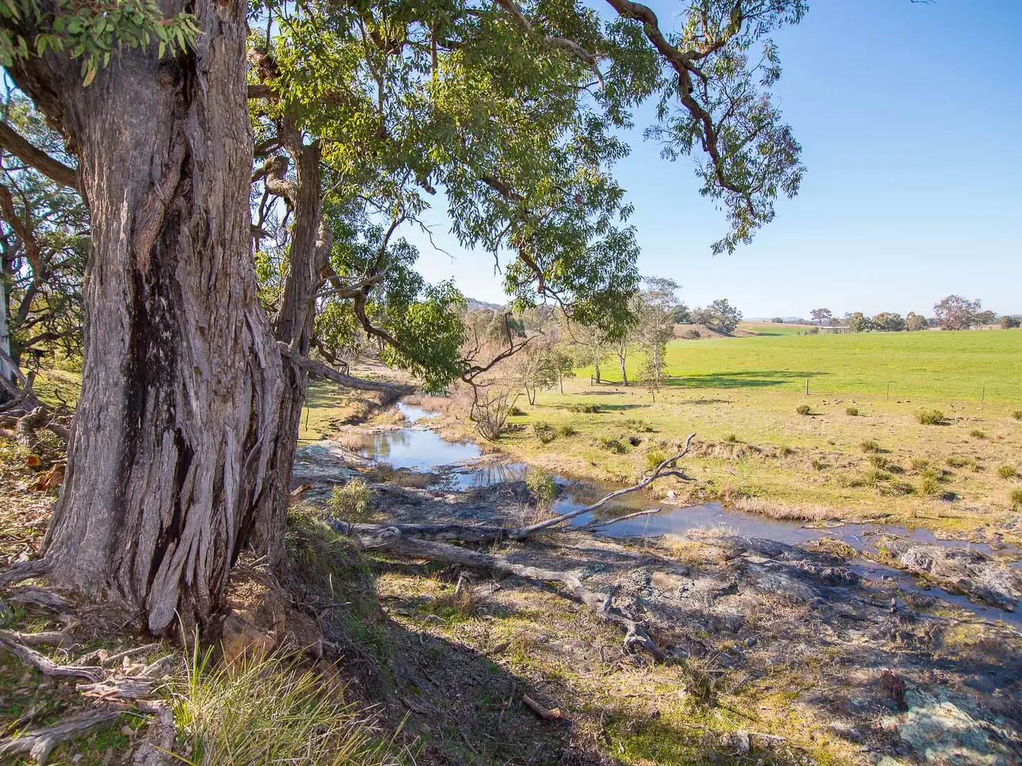 Main view of Homely rural property listing, 158 Bara - Lue Road, Mudgee NSW 2850
