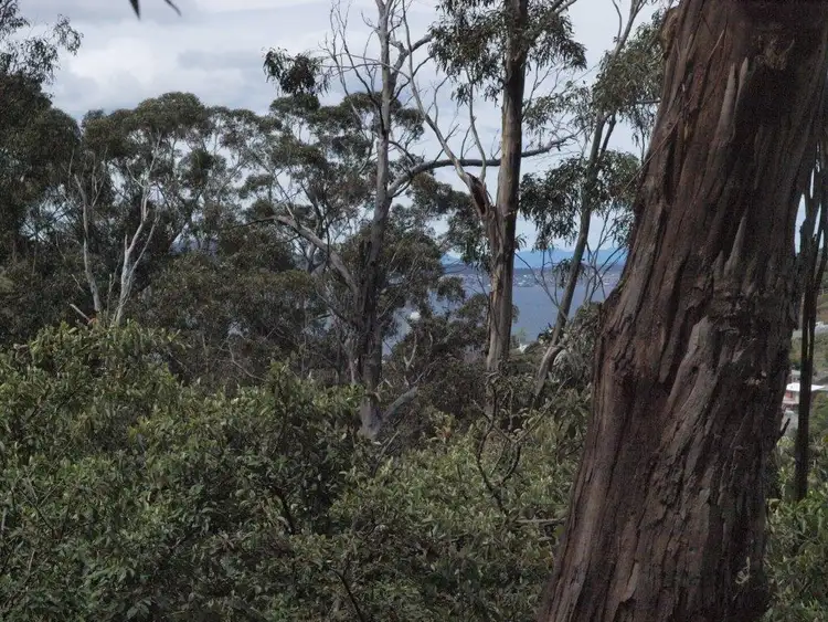 Main view of Homely land listing, 10 Stoney Steps Road, South Hobart TAS 7004