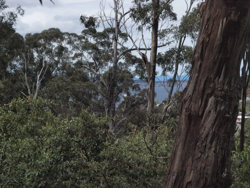 Main view of Homely land listing, 10 Stoney Steps Road, South Hobart TAS 7004