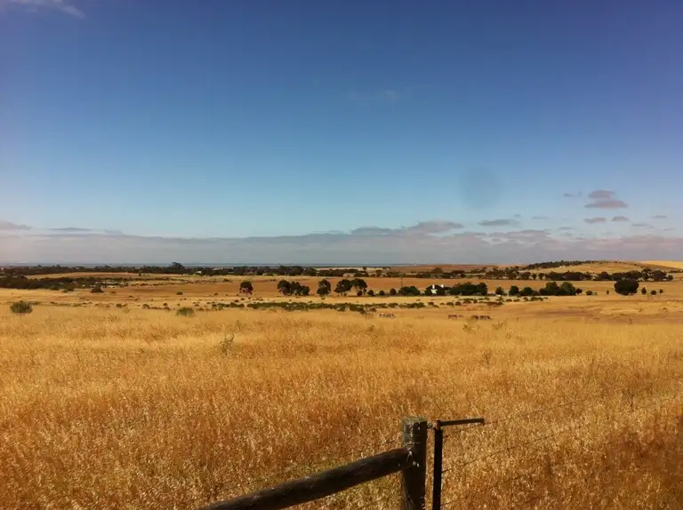 Main view of Homely land listing, 296 Yarandale Rd, Lipson SA 5607