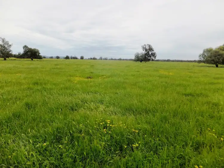 Third view of Homely rural property listing, 153 LEEWANG ROAD, Forbes NSW 2871