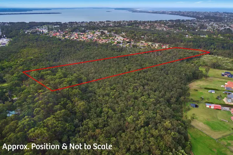 Main view of Homely house listing, 91 Tumbi Road, Tumbi Umbi NSW 2261