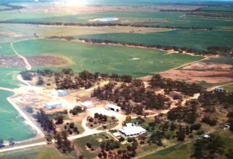 Main view of Homely rural property listing, 17119 Tod Highway, Kyancutta SA 5651