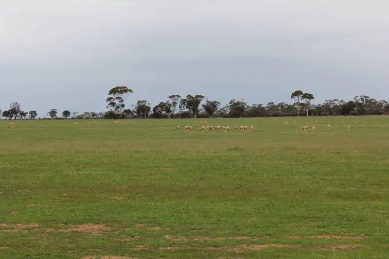 Main view of Homely rural property listing, Address available on request