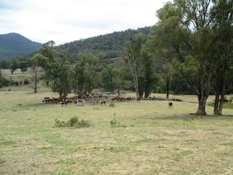 Main view of Homely rural property listing, Part - 191 Jamieson - Licola Road, Jamieson VIC 3723