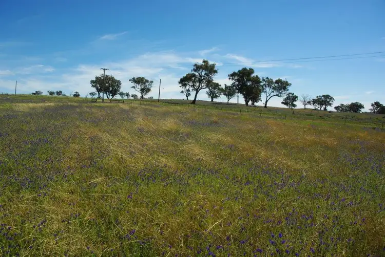 Fourth view of Homely land listing, 129 Tarrawingee Road, Mumbil NSW 2820