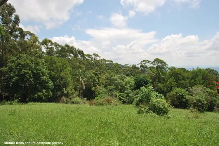 Second view of Homely land listing, 132 MacDonnell Road, Tamborine Mountain QLD 4272