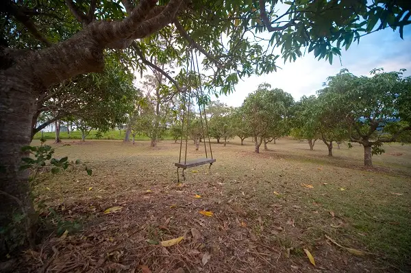 Sixth view of Homely house listing, 13421 Bruce Highway, Proserpine QLD 4800
