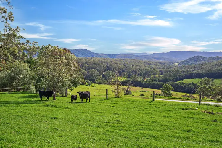 Third view of Homely rural property listing, 203 Evans Lane, Milton NSW 2538