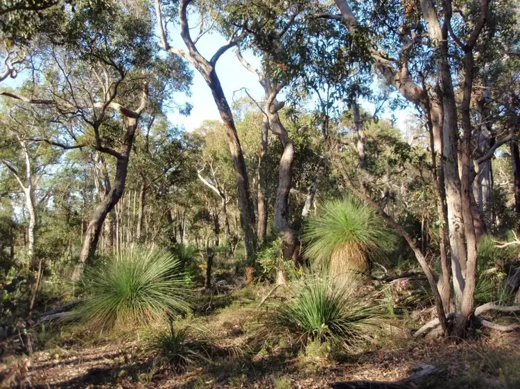 Third view of Homely land listing, 54 Sylvan Rest, Quindalup WA 6281