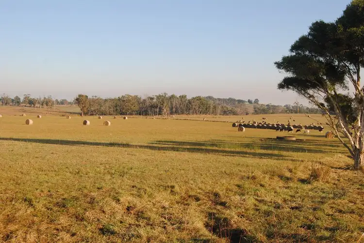 Sixth view of Homely rural property listing, 115 Lang Lang Poowong Road, Nyora VIC 3987