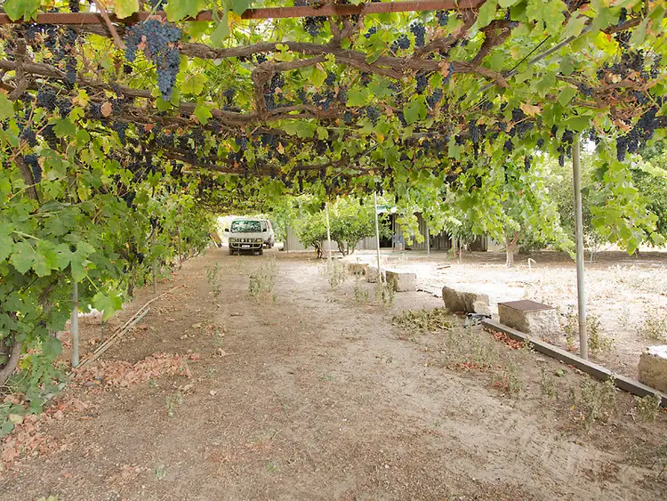 104 Swan Street, Henley Brook WA 6055