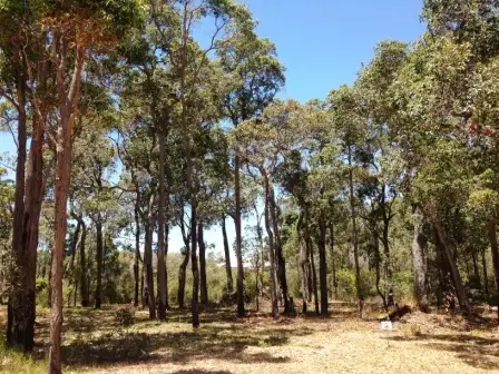 Main view of Homely land listing, 22 (Lot 340) Honeysuckle Glen, Cowaramup WA 6284