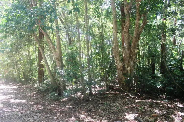 Sixth view of Homely land listing, 195 Bloodwood Road COW BAY, Daintree QLD 4873