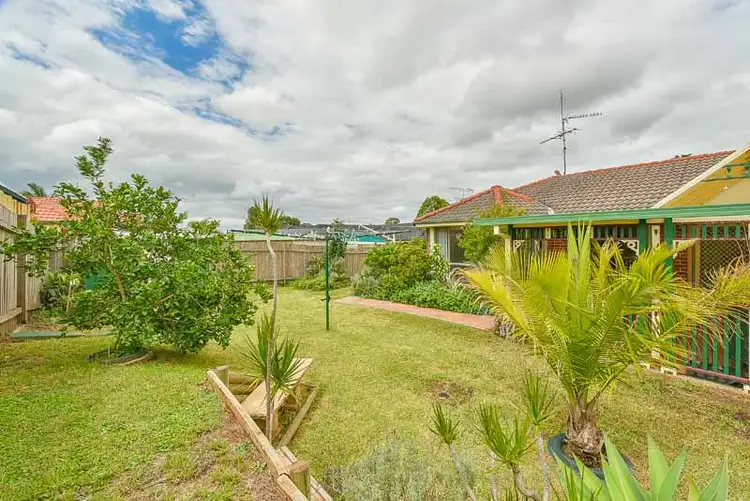Second view of Homely house listing, 13 Ash Place, Narellan Vale NSW 2567