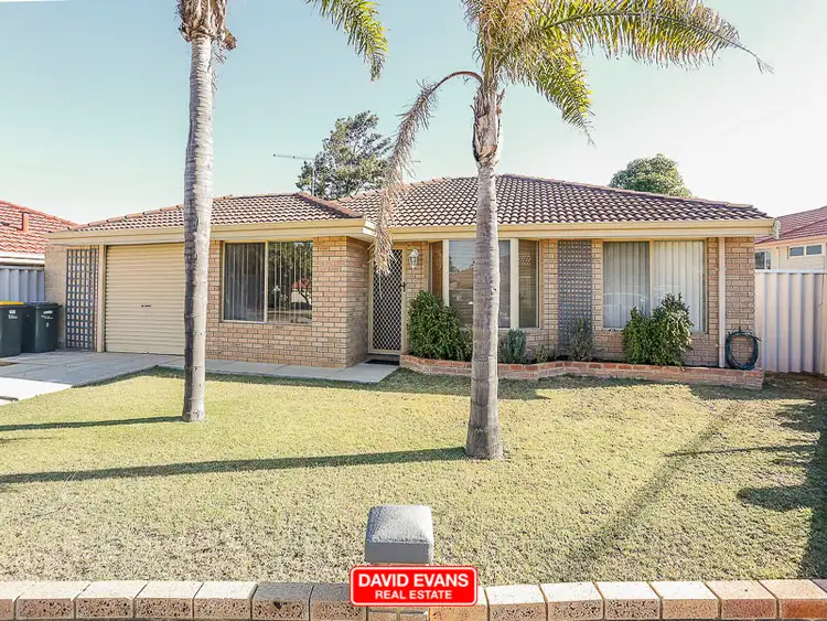 Main view of Homely house listing, 6 Perrin Crest, Clarkson WA 6030