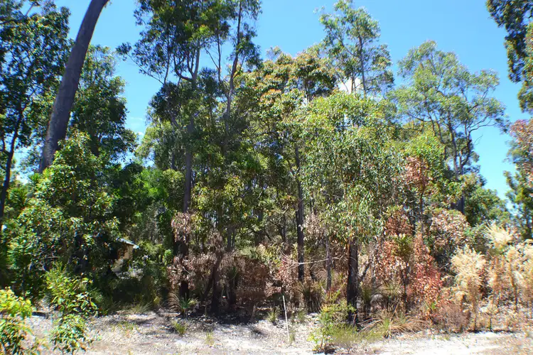 17 Tinglewood Court, Cowaramup WA 6284