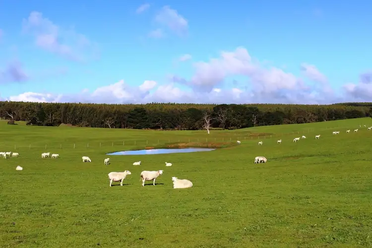 Fourth view of Homely rural property listing, A 22 Lanacoona Road, Mount Compass SA 5210