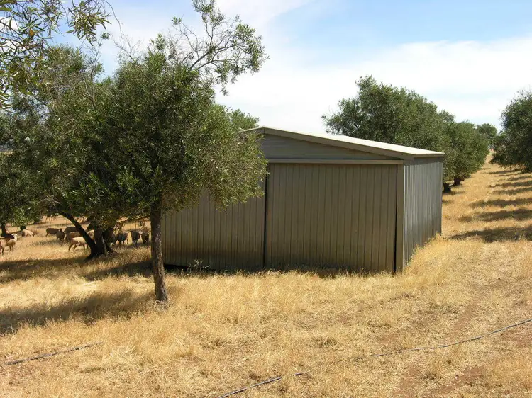 Fifth view of Homely land listing, Lot 318 Lyndoch Road, Gomersal SA 5352