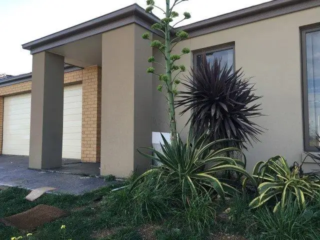 Main view of Homely house listing, 9 Goddard Street, Tarneit VIC 3029