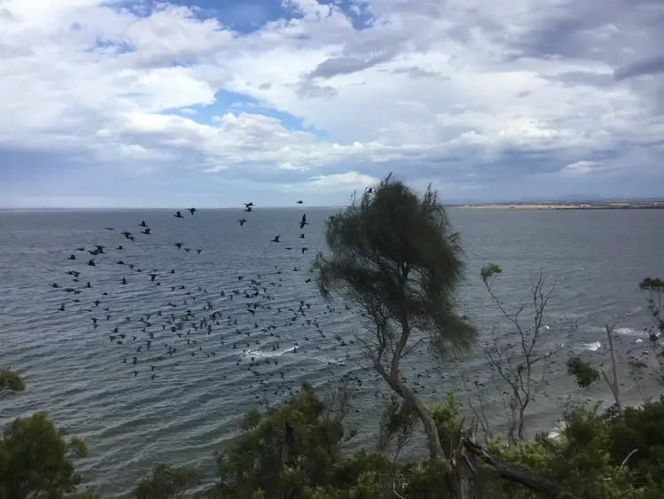 Fifth view of Homely land listing, 8 LANDS END GROVE, Metung VIC 3904