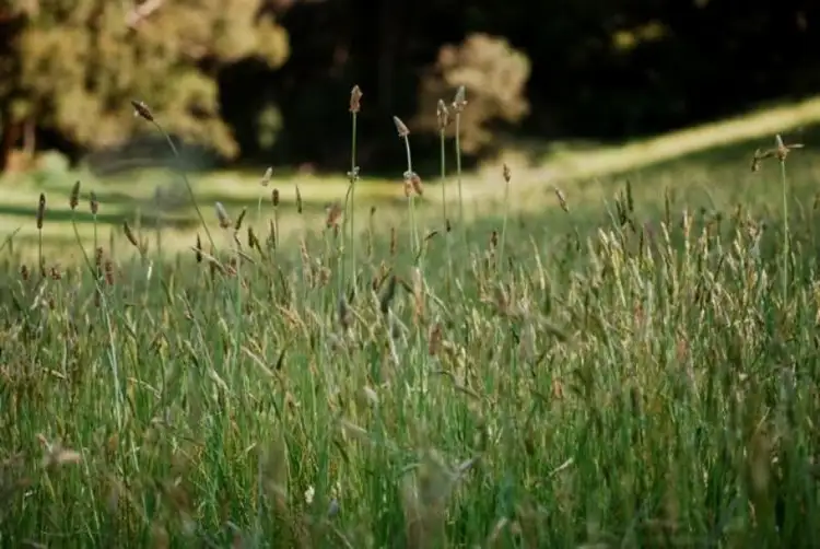 Fourth view of Homely land listing, 1 Munbinga Drive, Lithgow NSW 2790