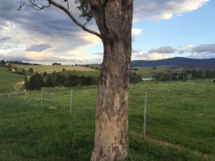 Second view of Homely land listing, Lot 11 Myrtle Mtn Rd, Candelo NSW 2550